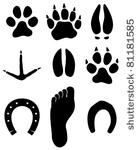 paw prints