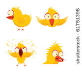 chicken