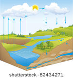 vector schematic representation ...