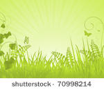 spring background with grasses  ...