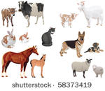 clip art set of domestic...