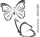 butterflies