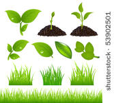 set of green leaves  grasses...