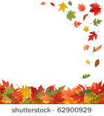 autumn falling leaves  isolated ...
