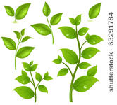 collection of green branches ...