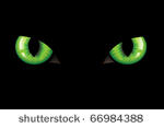 green dangerous wild cat eyes ...