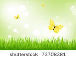nature background  green grass...