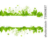 green leafs and grass  isolated ...