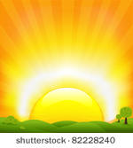 sunset and field  vector...