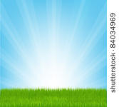 field of grass  vector...