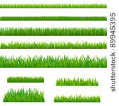 big green grass  isolated on...