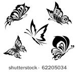 black white butterflies of a...