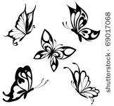set  black white butterflies of ...