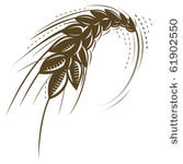 wheat isolated vector icon