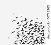 vector background of a birds'...