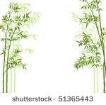 vector illustration of a bamboo ...