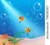 the underwater world  plants ...