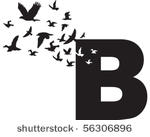 bird letter