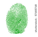 green fingerprint vector