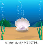 marine cockleshell with a pearl ...