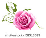 rose