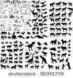 collection of different animals ...