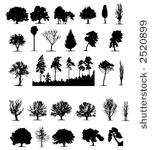 trees  vector 