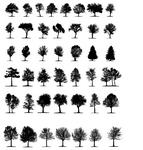 trees 2  vector 