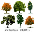 vector trees