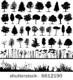 trees  grass  plant vector