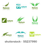 various nature and leaf icon...
