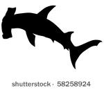 vector   hammerhead shark