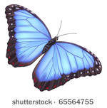 illustration of a beautiful...