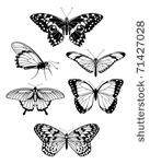 a set of beautiful stylised...
