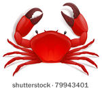 vector red crab  shellfish