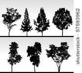 tree silhouette vector