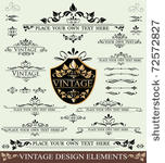 vector set of vintage design...
