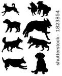 dog illustrations