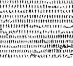 hundreds of people silhouettes  ...