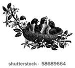 baby birds in nest   retro clip ...