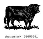 bull   retro clip art