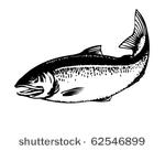 salmon   retro clipart...