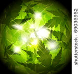 fresh spring green leafs...