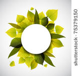 spring leafs abstract...