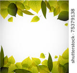 spring leafs abstract...