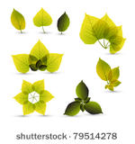 fresh abstract leaf elements...