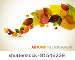 autumn abstract floral...