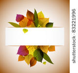 fall leafs abstract background...