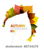 autumn abstract floral...