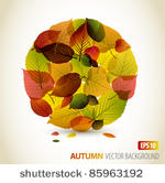 autumn abstract floral...